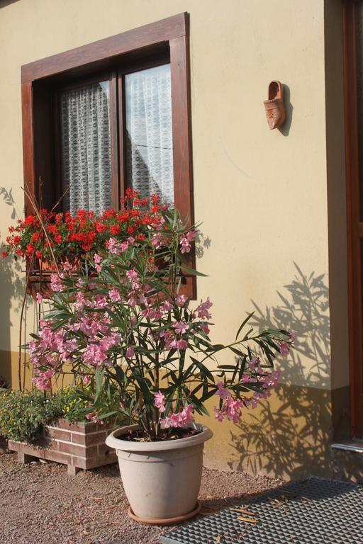 La Maison De Vacances Nothalten Pokoj fotografie